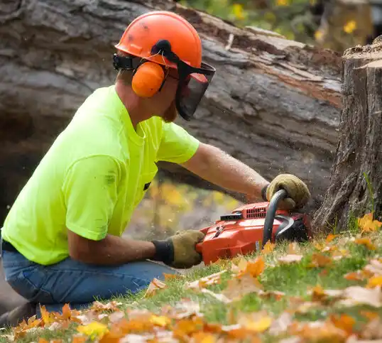 tree services Hawesville